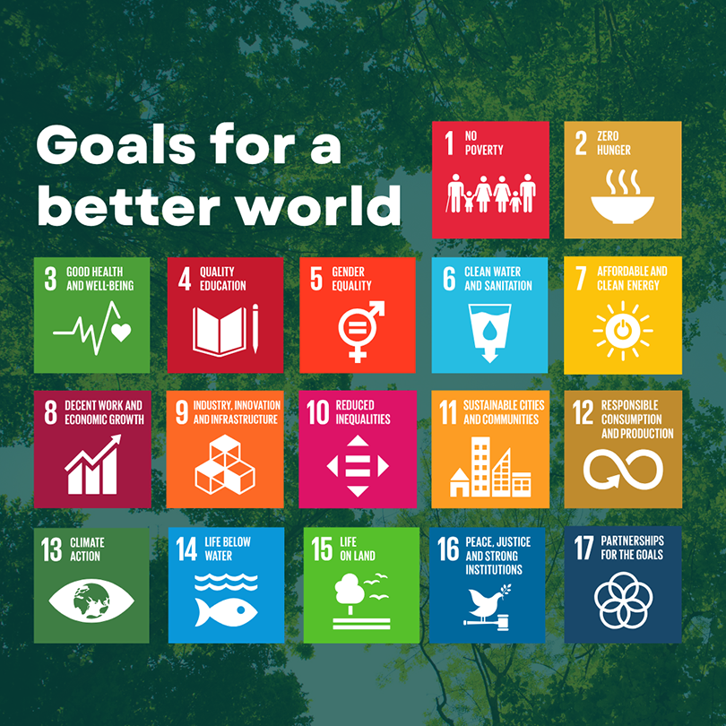 17 UN Sustainable Development Goals Graphic